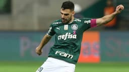 Bruno Henrique Palmeiras