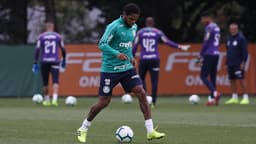 Luiz Adriano Palmeiras