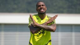 Gerson caiu nas graças da Nação. Vapo!