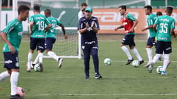 Vanderlei Luxemburgo Palmeiras