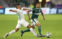 Dudu - Palmeiras