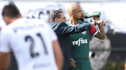 Felipe Melo - Palmeiras