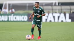 Rony Palmeiras