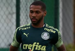 Wesley Palmeiras