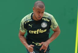 Mayke Palmeiras