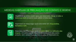 Palmeiras coronavírus