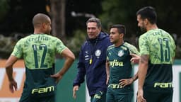 Dudu Vanderlei Luxemburgo Luan Mayke Palmeiras