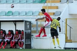 benfica x portimonense