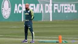 Felipe Melo Palmeiras