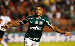 Dudu Palmeiras