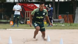 Gabriel Menino Palmeiras