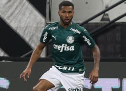 Wesley Palmeiras