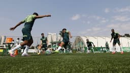 Palmeiras treino