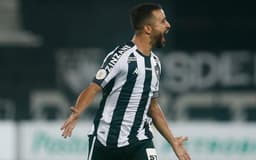 Caio Alexandre - Botafogo x Palmeiras