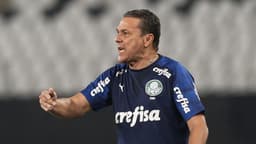 Vanderlei Luxemburgo