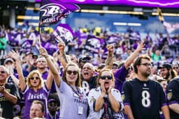 Baltimore Ravens torcida