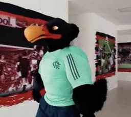 Urubu mascote do Flamengo