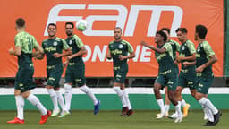 Treino Palmeiras