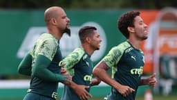 Palmeiras treino