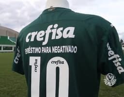 Palmeiras crefisa dérbi