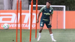 Rony Palmeiras