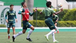 Palmeiras treino