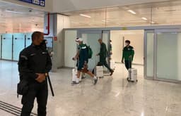 Palmeiras desembarque