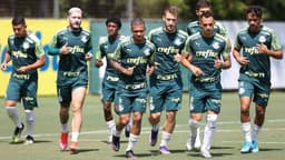 Palmeiras treino