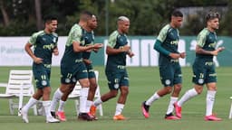 Palmeiras treino