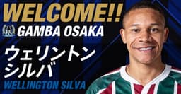 Wellington Silva - Gamba Ozaka