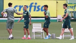 Palmeiras treino