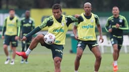 Palmeiras treino