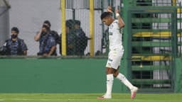 Rony Palmeiras