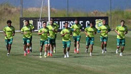 Palmeiras treino