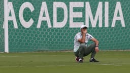 Abel Ferreira Treino Palmeiras