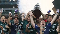 Palmeiras Libertadores