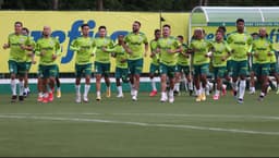 palmeiras treino