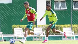 Palmeiras treino