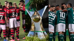 time do Flamengo, taça do Brasileirão e time do Palmeiras