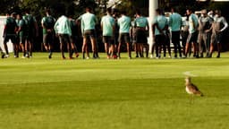 Treino Fluminense