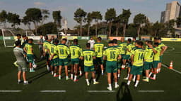 Palmeiras treino