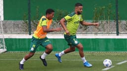 Palmeiras treino