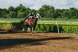 corrida de cavalo