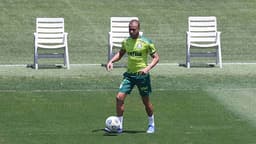 Palmeiras treino