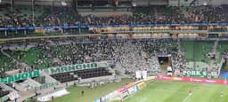 Torcida - Palmeiras