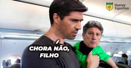 Meme: Palmeiras campeão da Libertadores