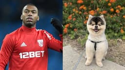 Sturridge e cachorro