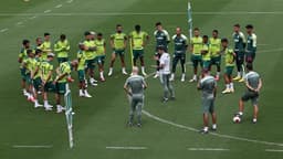 Treino Palmeiras