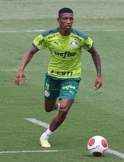 Danilo Palmeiras