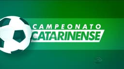 Campeonato catarinense